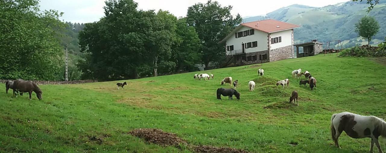 Penzion Autxikoborda Elbete Exteriér fotografie